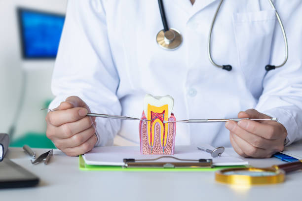 Reliable AR Emergency Dental Service Solutions